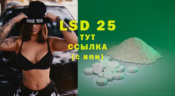 прущие грибы Балахна