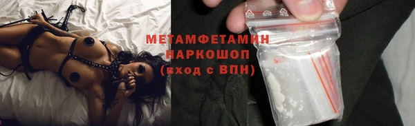 прущие грибы Балахна
