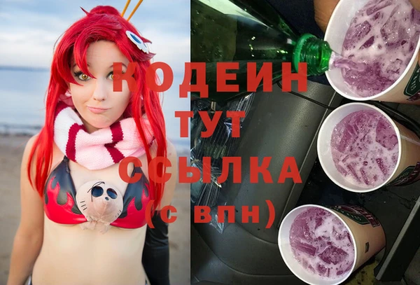 прущие грибы Балахна
