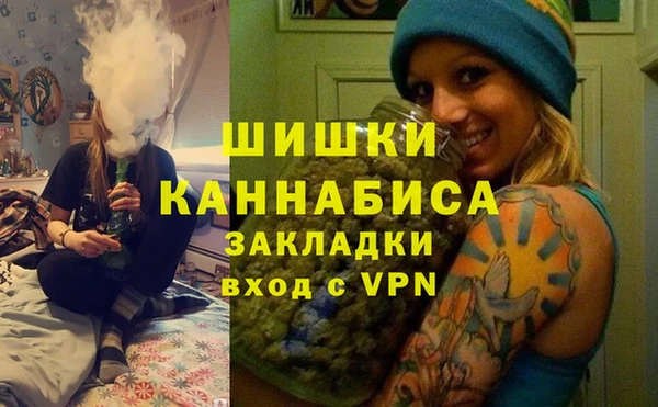 прущие грибы Балахна