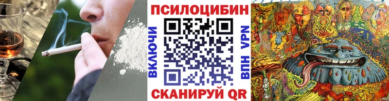 Псилоцибиновые грибы прущие грибы  MEGA ссылка  Плёс 